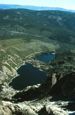 Sardine Lakes