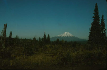 Mount Saint Helens