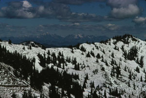 snow in the North Cascades
