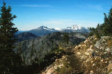 Trail on Haystack Mountain