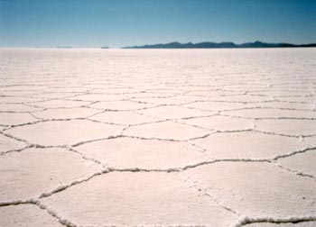 upwelling water leaves ridges of salt at the cracks