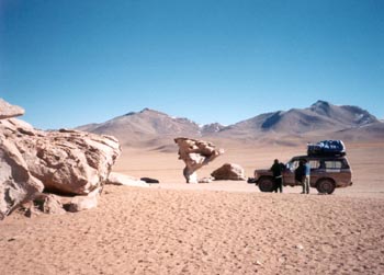 arbol de piedra - stone tree