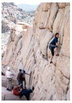 laura on bush climb