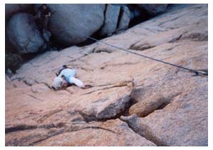 laurel on the rock