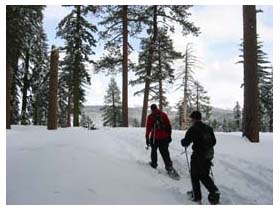 approaching Dewey point, by sean