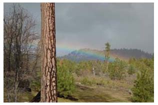 morning rainbow, by berto