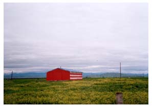 USA barn