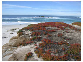 Pebble Beach, CA