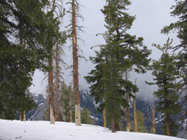 six feet of snow on the ridge