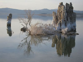 Mono Lake tufa towers