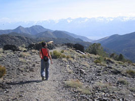 sierra view, bristlecone forest, White Mountains, California