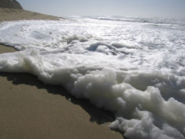 sea foam at windy Half Moon Bay