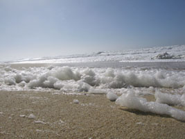 sea foam at windy Half Moon Bay