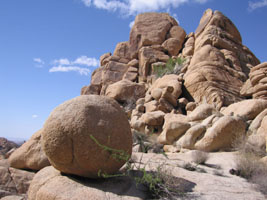 round rock, Joshua Tree