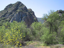 walking at Malibu Creek in April