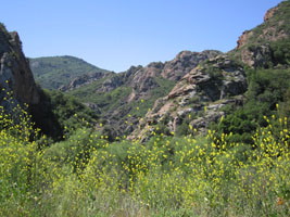 walking at Malibu Creek in April