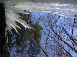 icicles