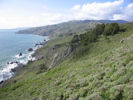 Muir Beach overlook