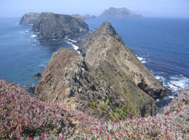 Inspiration Point, Anacapa Island, California