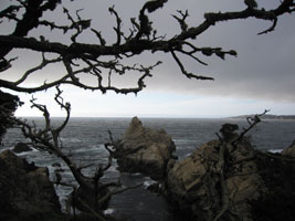 unfriendly sea at Point Lobos