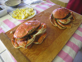 crabs ready for lunch