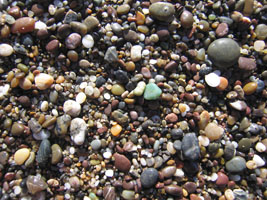 pebbles on Point Reyes