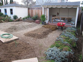 back yard garden beds