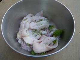 sole, squid, fennel, and seasoning