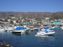 the harbor at Avalon, Catalina Island