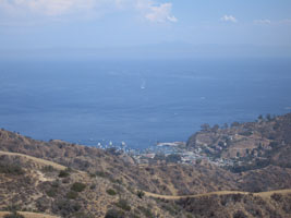 view from a hike inland from Avalon