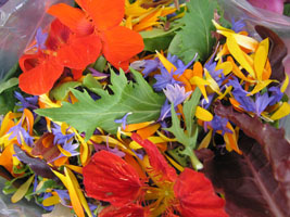 colorful salad at the farmers market