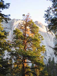 first light at Whitney Portal