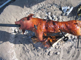 tender juicy piglet at the beach