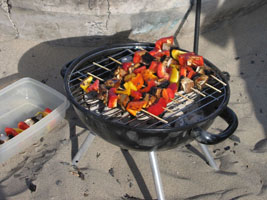 kebabs on the grill