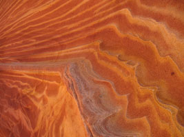 The Wave has wavy sandstone.  by Joy.
