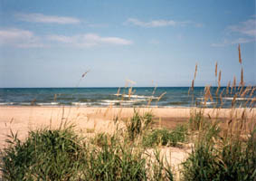 Lake Michigan shore