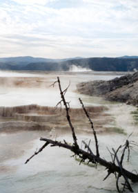 steaming pools