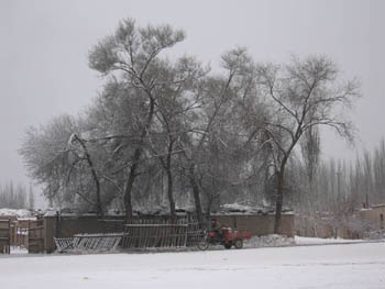 motor-cart on a snowy road