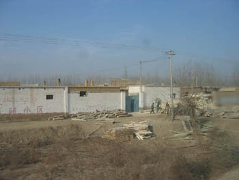 poplar sawmill, far west xinjiang