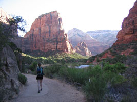 Morning in Zion National Park, June, 2008