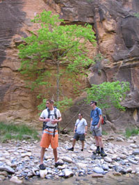 The Narrows. zion, 2008