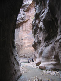 Orderville Canyon. zion virgin river narrows, 2008