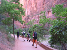 Following the trail. zion, 2008