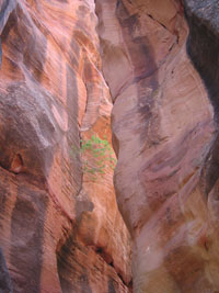 Kanarra canyon colors. zion, 2008