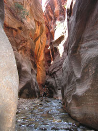Me in Kanarra canyon (by Lee). zion, 2008