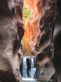 Kanarra Creek waterfall. zion, 2008