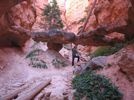 A structurally impossible rock (by Lee). Bryce Canyon bridges, 2008